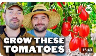 21 Tomatoes We’re Planting This Year