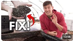 This Seed Starting Fix Takes You From Amateur to PRO!