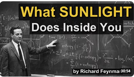 Why Sunlight Is the Most Powerful Drug You Take Every Day