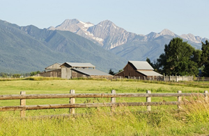 farm-300